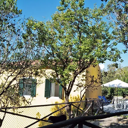 Apartment Sansone Sul Mare